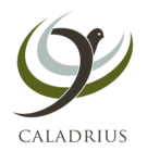 Caladrius Partners